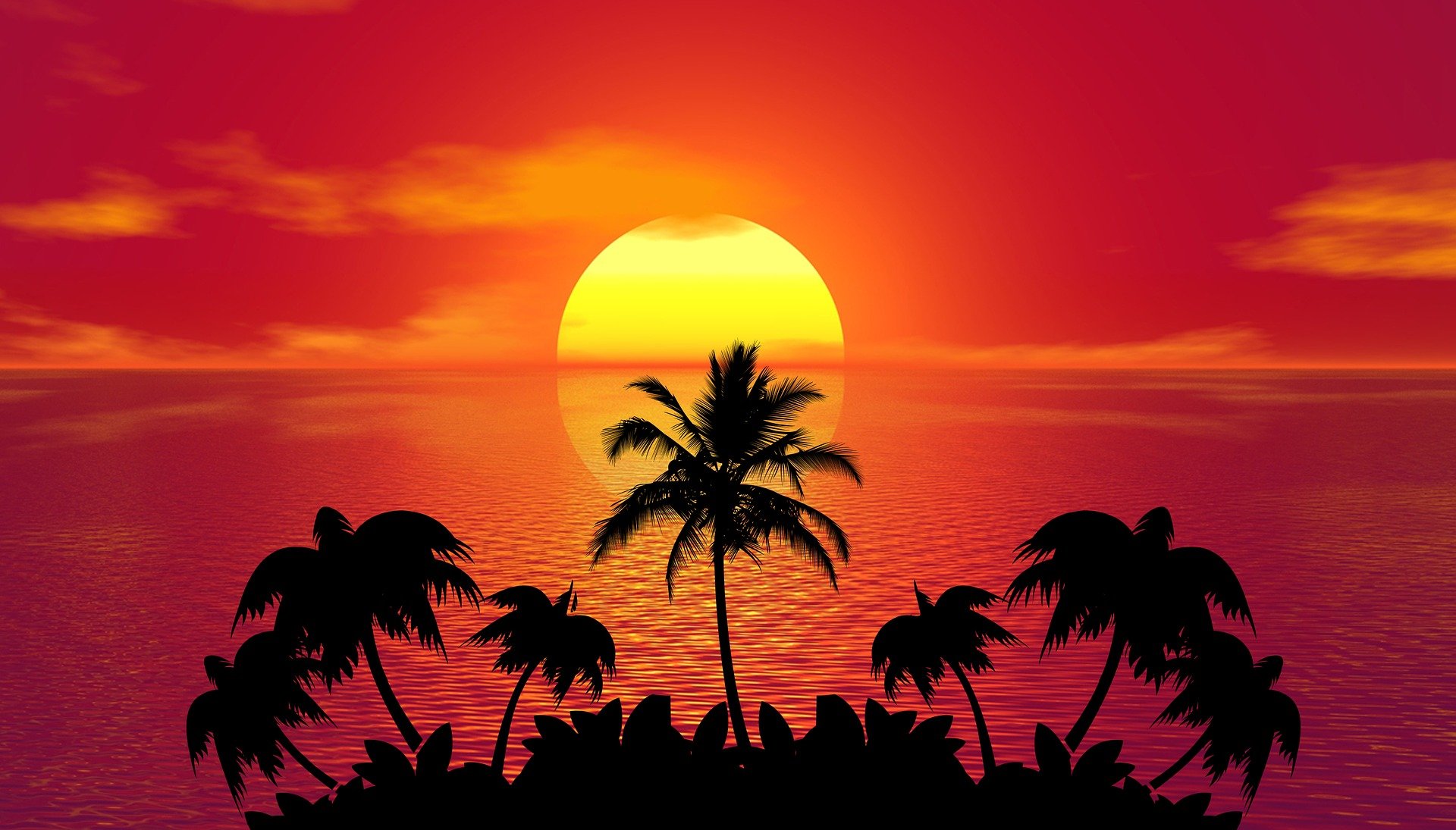 Sunset Palm Trees