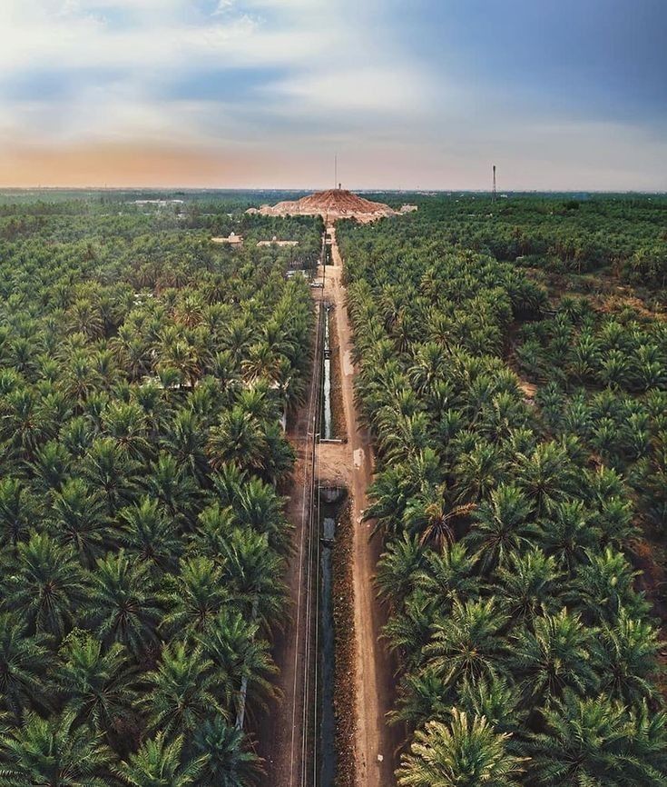 Products College Photo